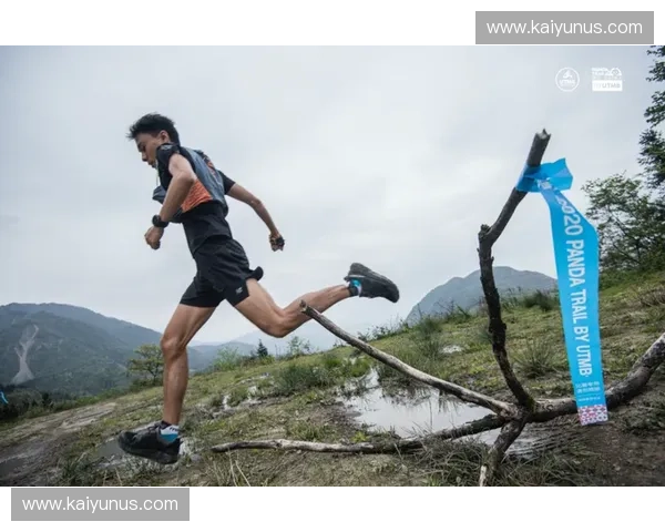 田径技术统计：让数据照亮赛道上的每一个动作